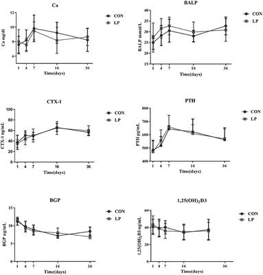 Calcium Homeostasis and Bone Metabolism in Goats Fed a Low Protein Diet